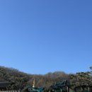 용인 에버스테이2 | 용인 문수산 법륜사 해돋이 해맞이 템플스테이 혼자 다녀온 후기 1탄(카페, 숙소, 대중교통)