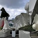 세계조개박물관 이미지