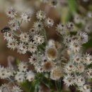 남경모텔 이미지