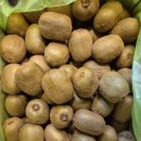 진양농원 이미지