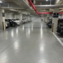 주남마을길 | [6일차] 창원 주남저수지 여행 코스 : 상남동 +주남저수지 카페 272까지 하루 일정