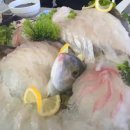 팔딱팔딱횟집 이미지