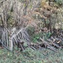 황산면사무소 이미지