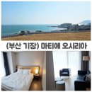 세븐일레븐 부산기장마티에점 | 부산 기장 마티에 오시리아 아이랑 호캉스 가성비 스위트 오션뷰 후기