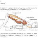 트레이닝브릿지 이미지