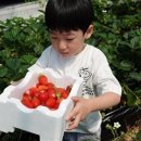 지방농장 이미지