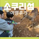 명동초등학교 | [여행후기] 창원 진해 소쿠리섬 — 한적함 속 사슴과 함께한 힐링 피크닉