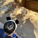 뿌빠노래타운 이미지