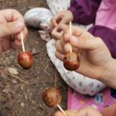 세이유치원 이미지