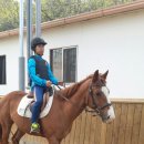 신언중학교 이미지