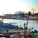 장림포구 이미지