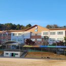 대덕초등학교유치원 이미지