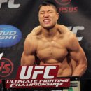 UFC Seoul 개최 관련_방송, 협력 체육관, 출전선수 이미지