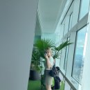 키오스크 어렵지 않아요 | 대만 타이베이, 타이베이101타워 89층 전망대 후기 키오스크로 티켓 구매 어렵지 않아요