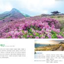 제45차 영화처럼 정기여행 합천(산청) 황매산(黃梅山) 1,113m 이미지