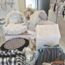 판도라독 이미지