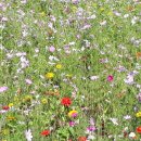 곤양참마트 이미지