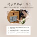단짝 | 📸진주 포토우드박스 계약 후기/ 단짝 구해요 ! ✨