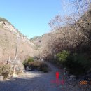 구만산펜션 이미지