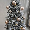 군산 성신병원 이미지