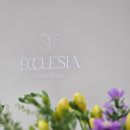 에클레시아 필라테스 이미지