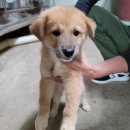 석근2길 이미지