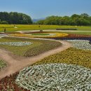 신라고등학교 이미지