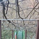 홍천강변_3 | 홍천 팔봉산 등산코스, 주차