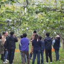 자연사슴농장 이미지