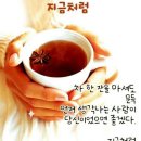 지금처럼 이미지