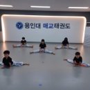 튼튼한용인대태권도장