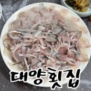 대양 | 창원 북면 맛집 창원 숨은맛집 소개 대양횟집 전어회 후기