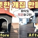 강아지집 이미지