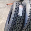 장계 카센타 이미지