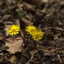 현대노원정비센터 이미지