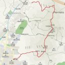 양지-21 티스토리
