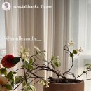 썬들썬들