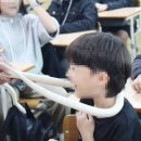 작동초등학교 이미지