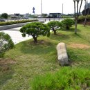 사비농장 이미지