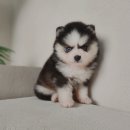 은평-050 이미지