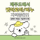 🧡 제주에서 취득하는 반려동물 아로마 / 반려동물 천연비누 자격증 🧡 이미지