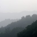 산골풍경 Daum카페