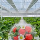 알로3 농장 이미지