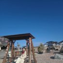 여운목장 | 단체 국내여행 어디 갈까? 양떼목장부터 안목해변까지 하루코스 후기