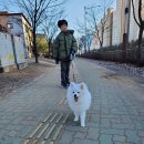 슈슈댕 구래점 | 김포 구래동 구래역 애견 셀프목욕 <슈슈댕> 후기