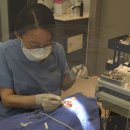 서울오늘치과의원 이미지