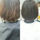비달싹뚝 - 연제구 과정로191번가길 45 | 비달싹뚝