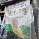 서안약국 | 서울 3대 붕어빵 효창공원 효공잉어빵 먹어 봤습니다 웨이팅 메코미 맛 후기