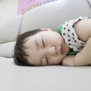 우형제