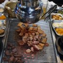 황금돼지껍띠